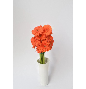 GERBERA NARANJA 70CM