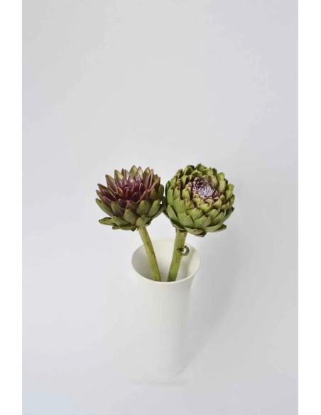 CYNARA
