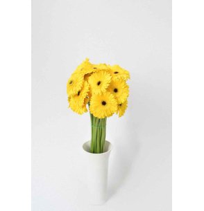 GERBERA AMARILLA 60CM