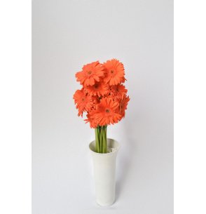 GERBERA NARANJA 60CM