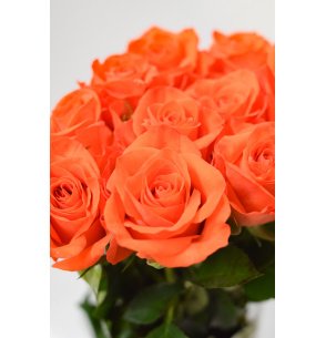 ROSA SPRAY NARANJA 40CM