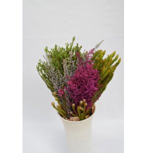 BOUQUETS SAFARI PQ. 2