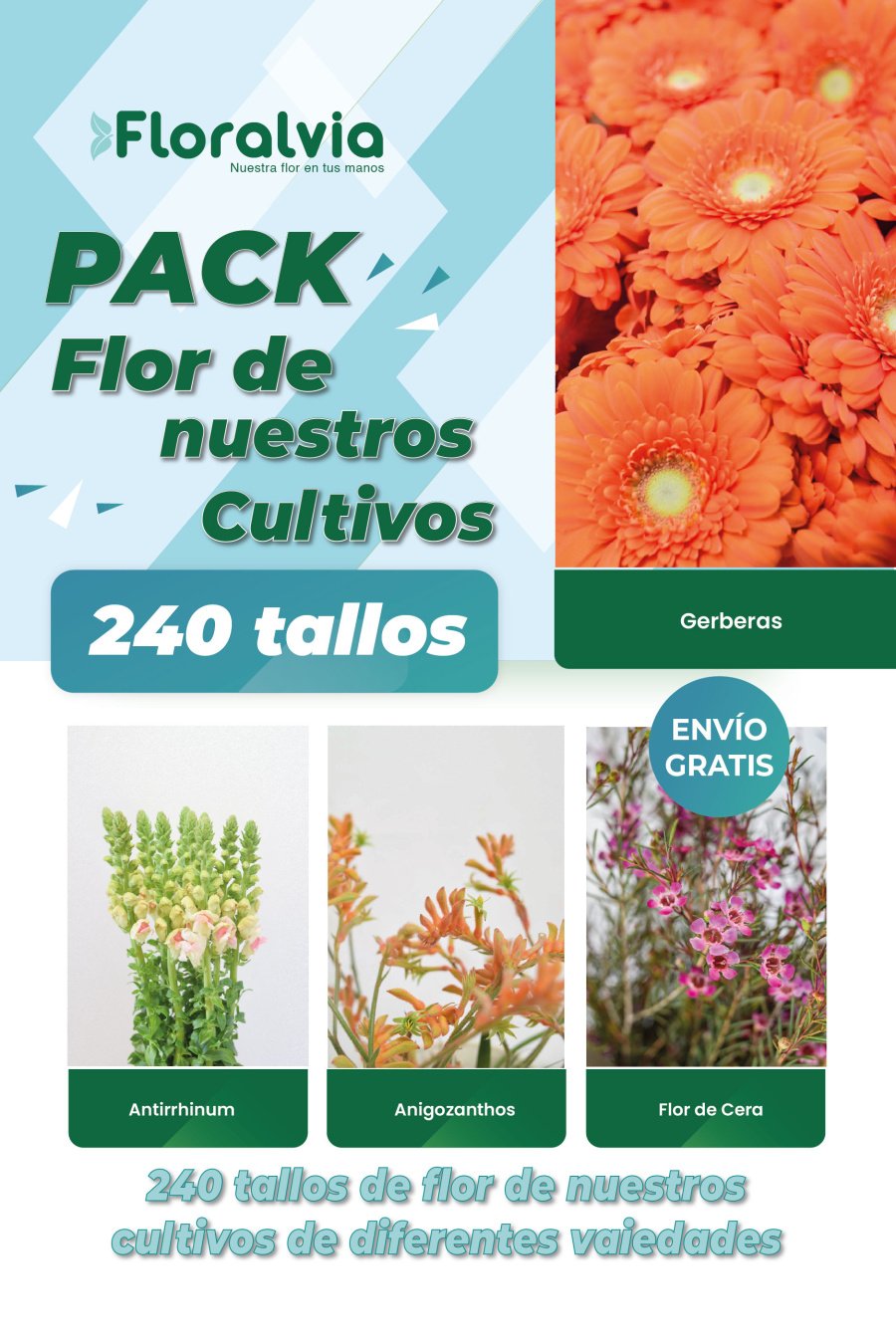 PACK DE FLORES DE CULTIVO PROPIO