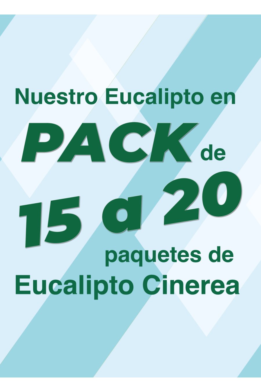 CAJA DE EUCALIPTO CINEREA