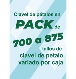PACK CLAVEL DE PETALOS VARIADOS