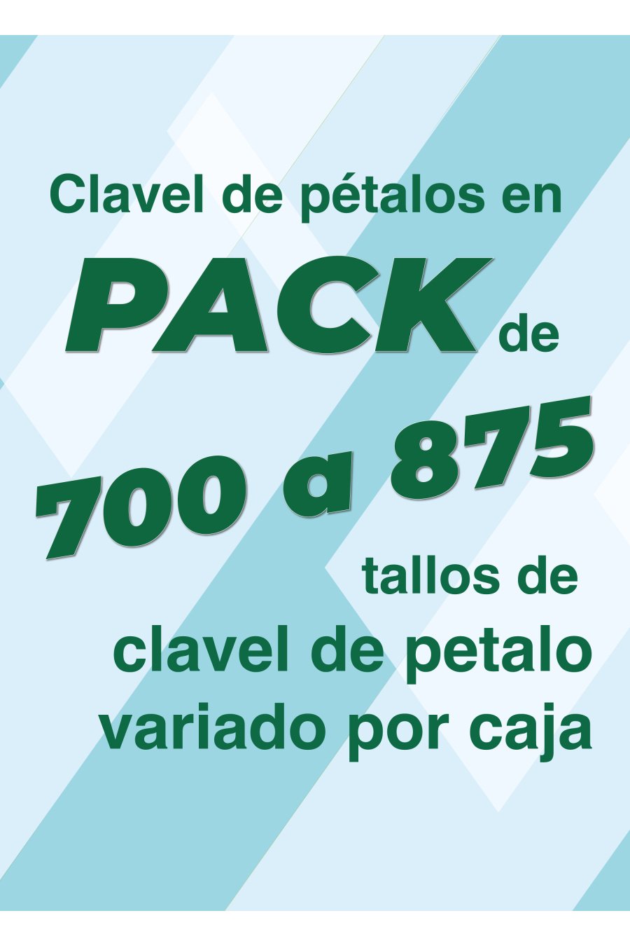 PACK CLAVEL DE PETALOS VARIADOS