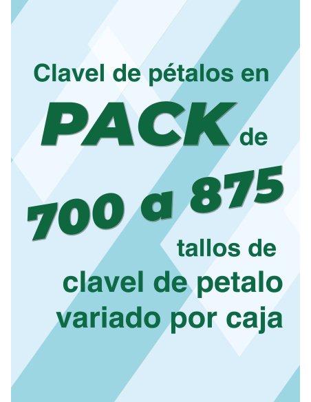 PACK CLAVEL DE PETALOS VARIADOS