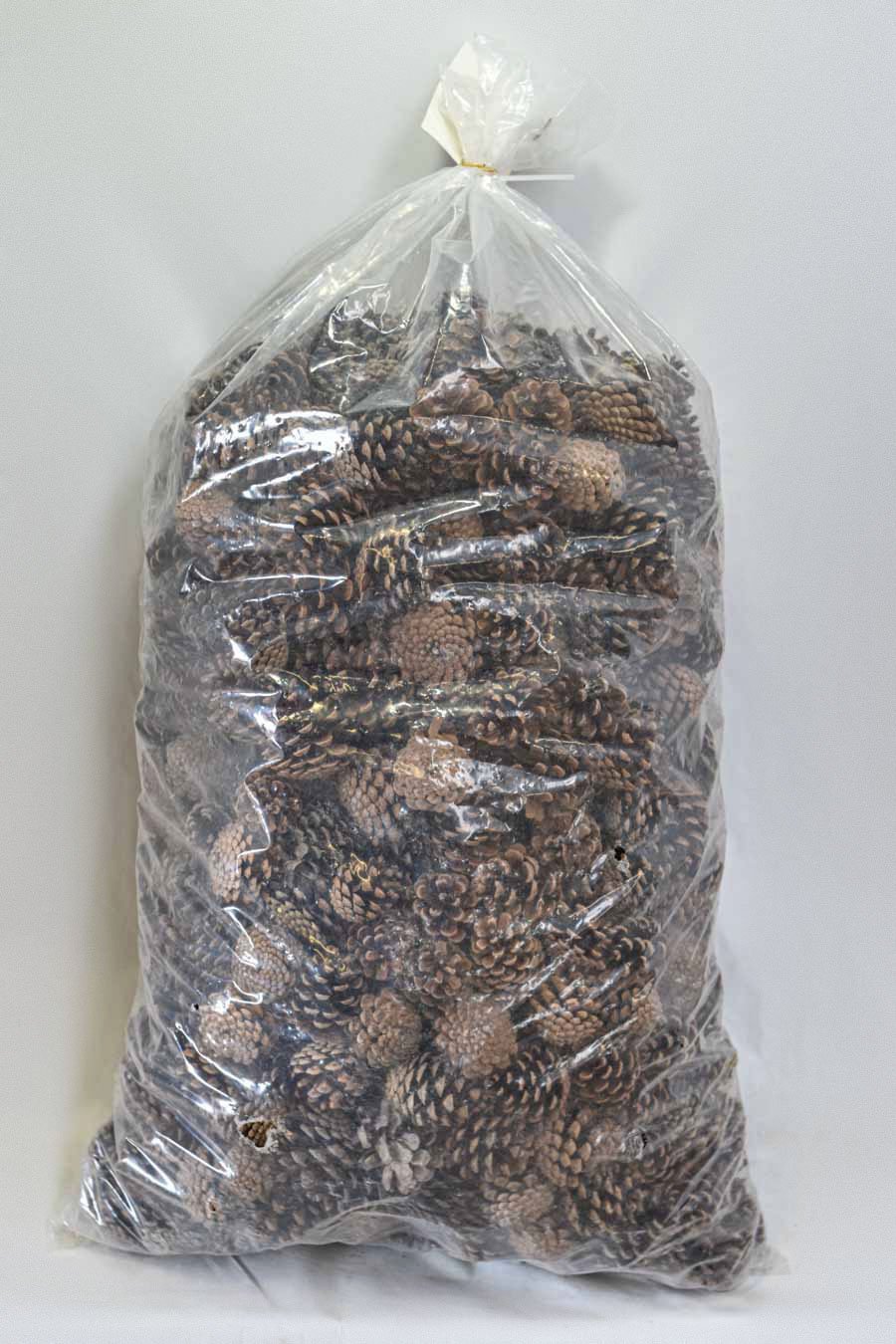 SACO DE PIÑA DE 5KG