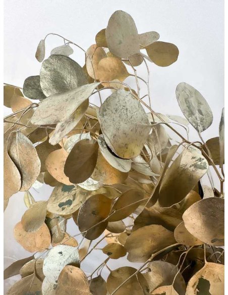 EUCALIPTO POPULUS TEÑIDO ORO PQ. 250Gr.