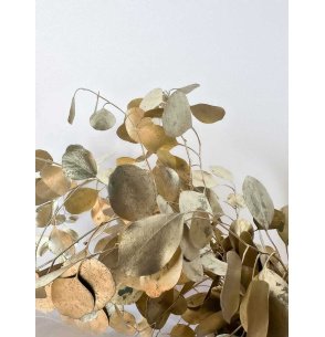 EUCALIPTO POPULUS TEÑIDO ORO PQ. 250Gr. 2